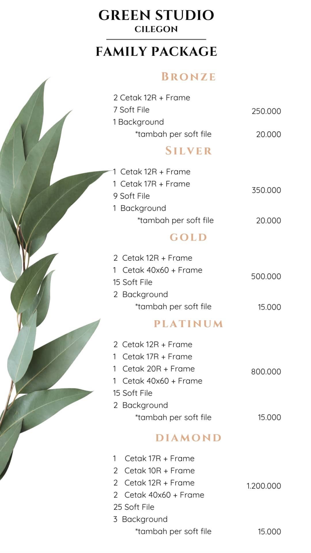 Inilah Pricelist Family Packages dari Green Studio Cilegon 1