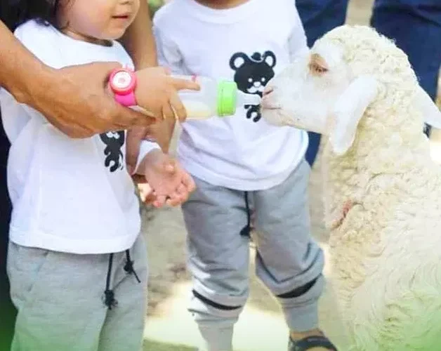 Villa Ternak Cikerai Beserta Alamat Lengkapnya